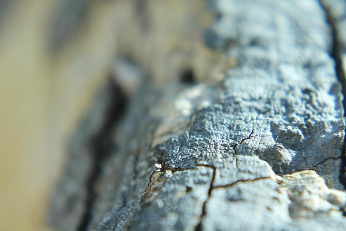 Random billeder. billede 17