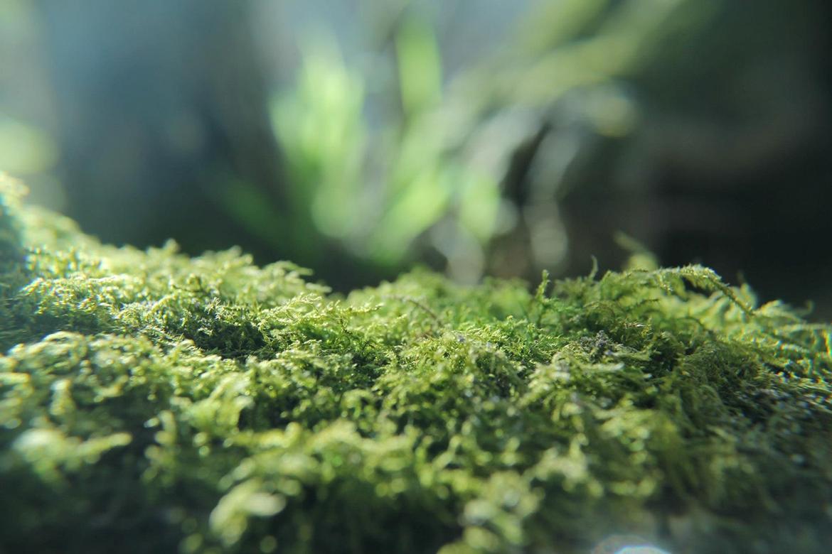 Random billeder. billede 19