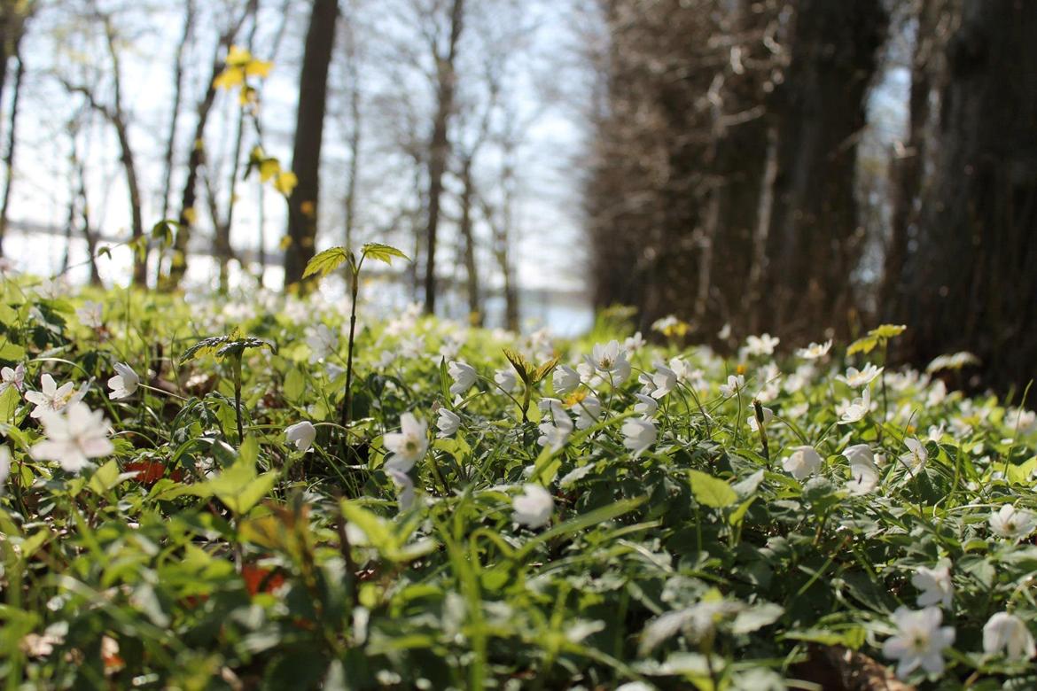 Random billeder. billede 21