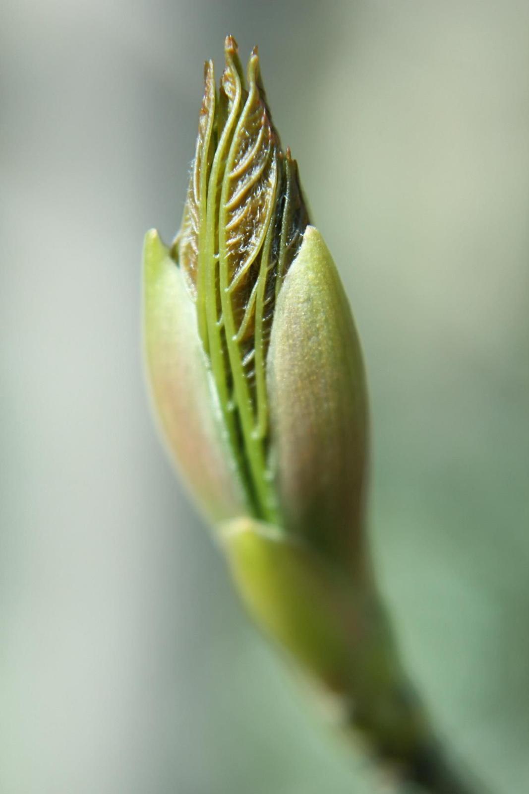 Random billeder. billede 24