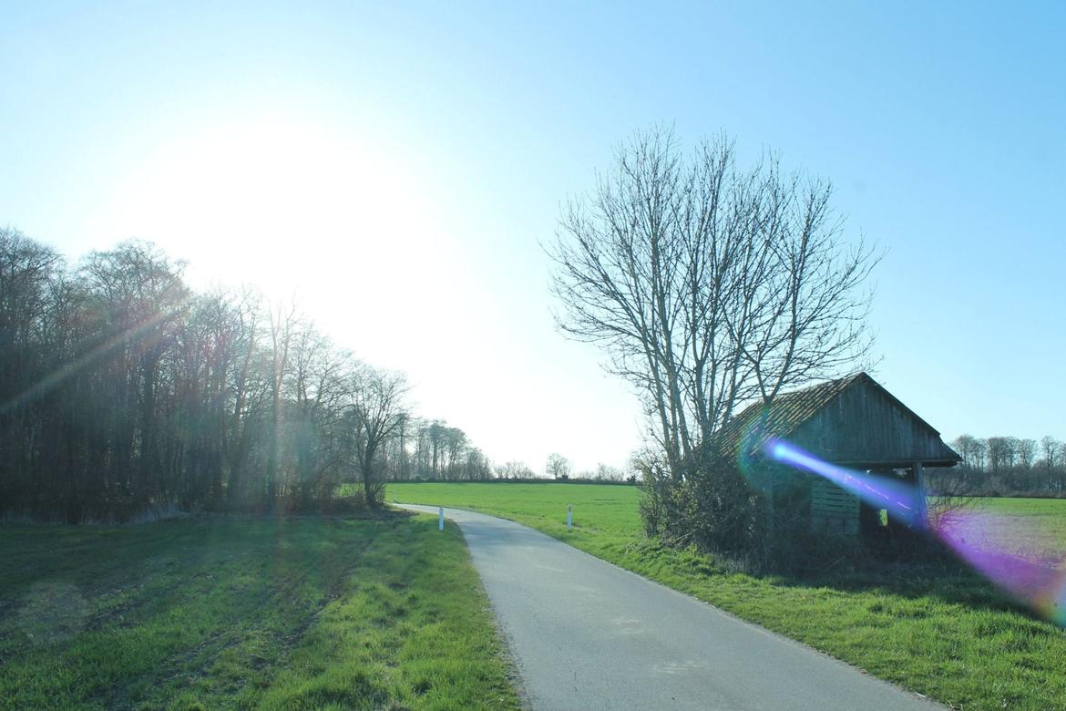 Random billeder. billede 26