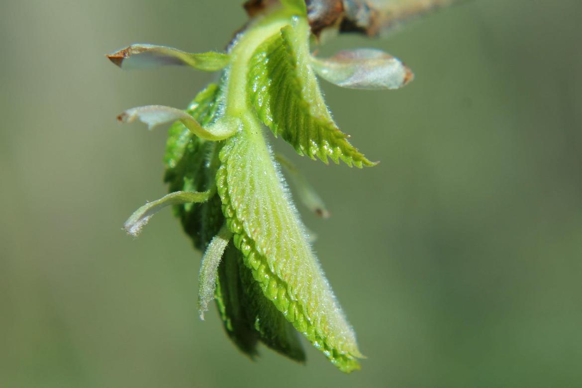 Random billeder. billede 33