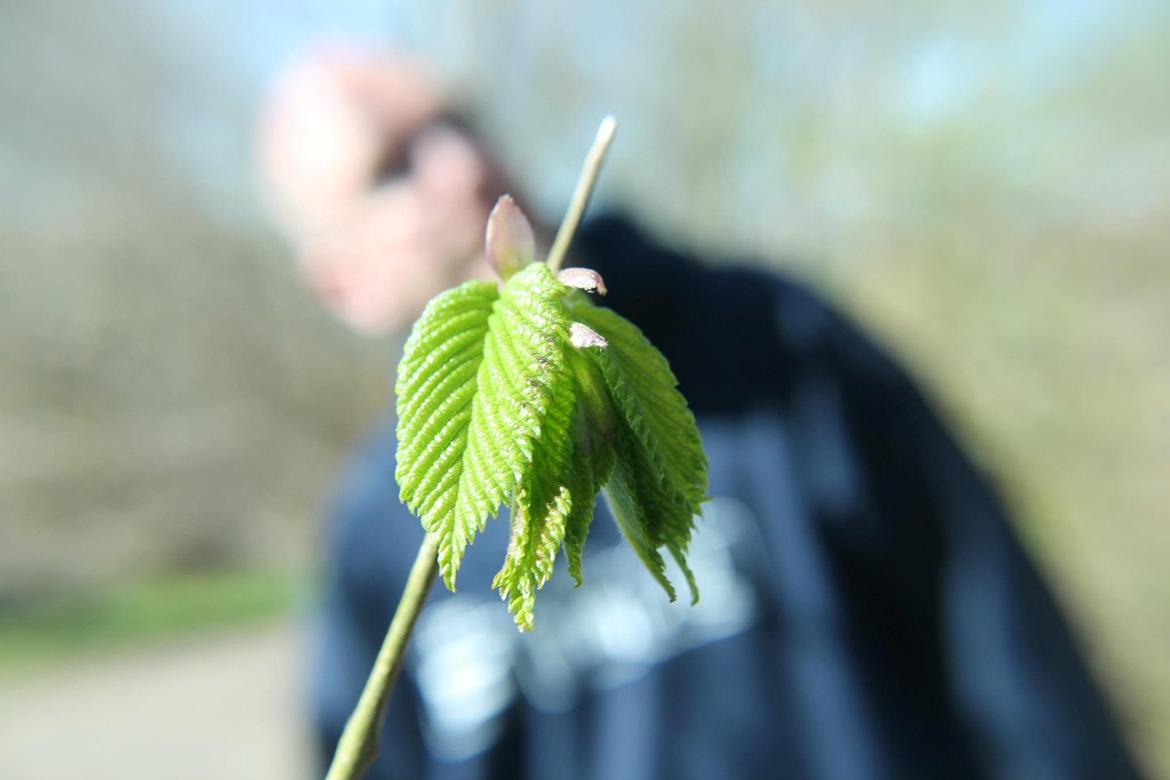 Random billeder. billede 34