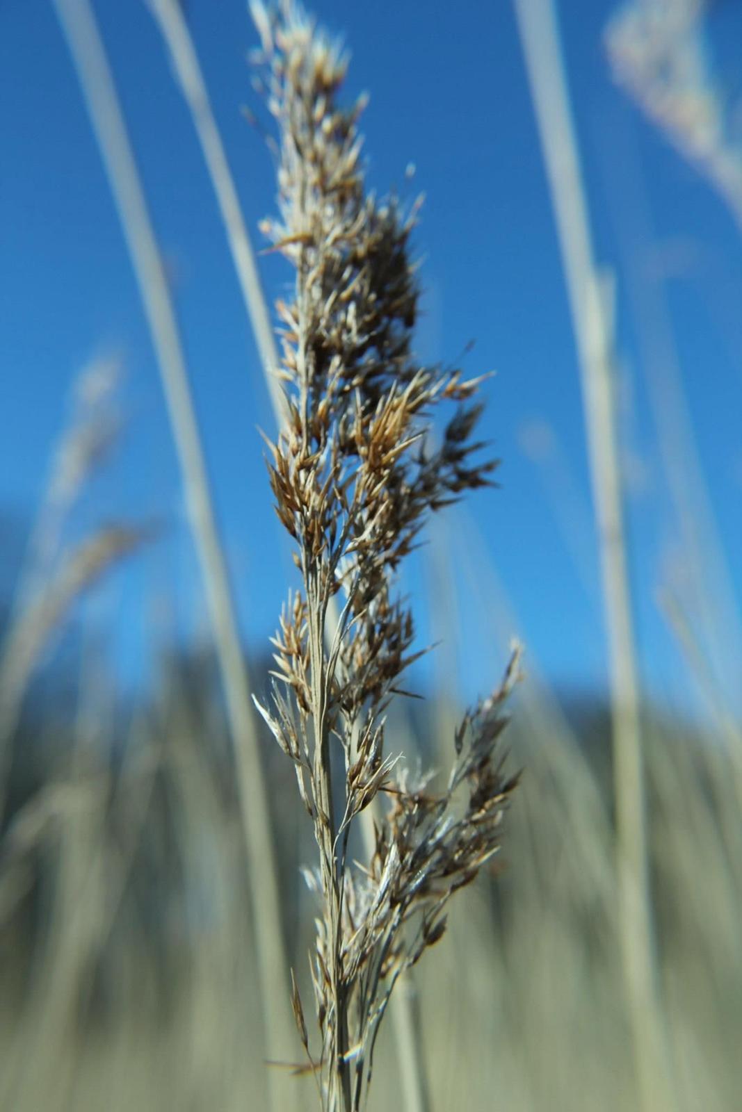 Random billeder. billede 36