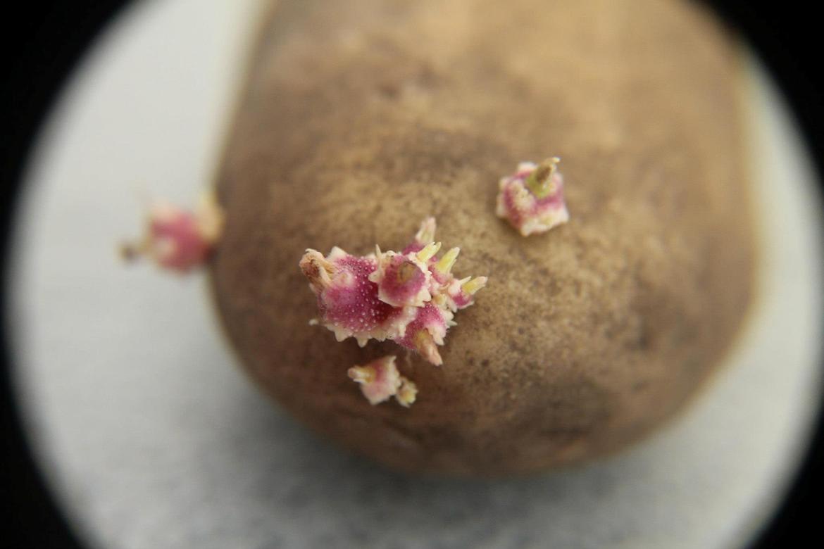 Random billeder. billede 45