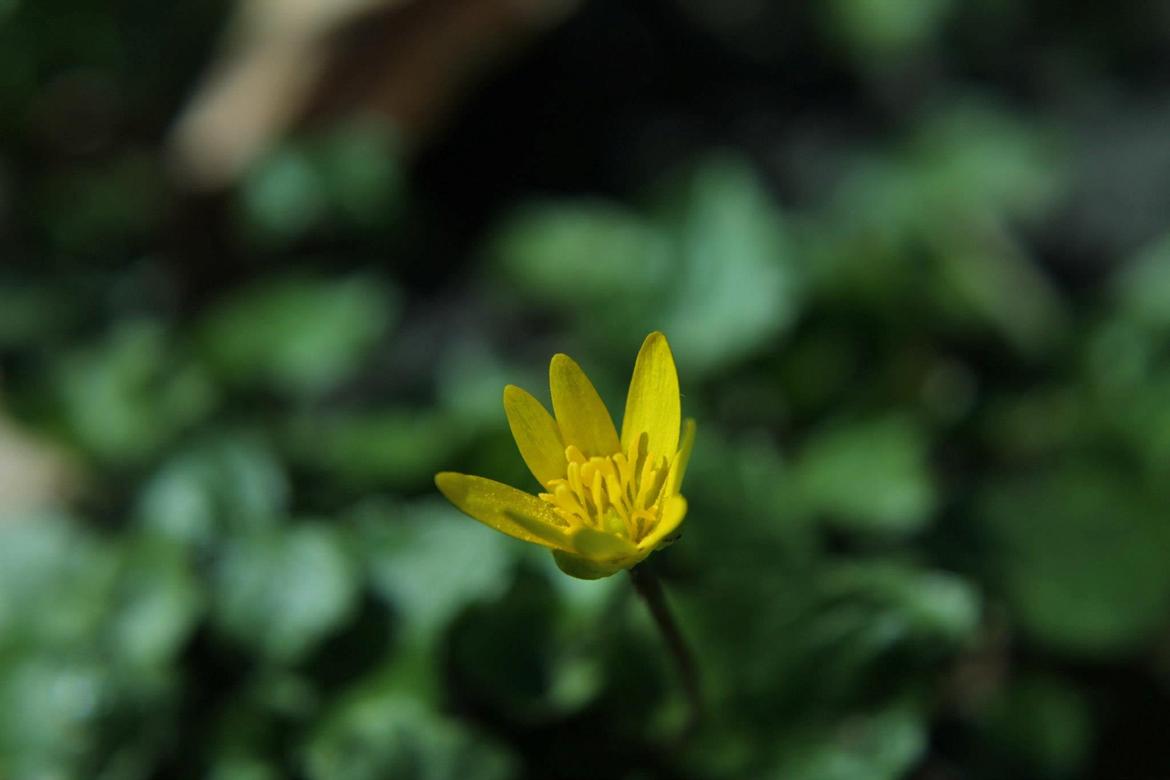 Random billeder. billede 47