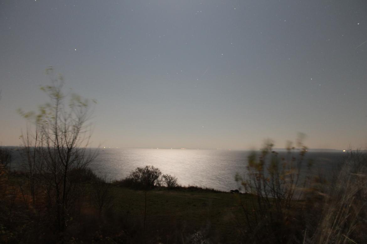 Random billeder. billede 57