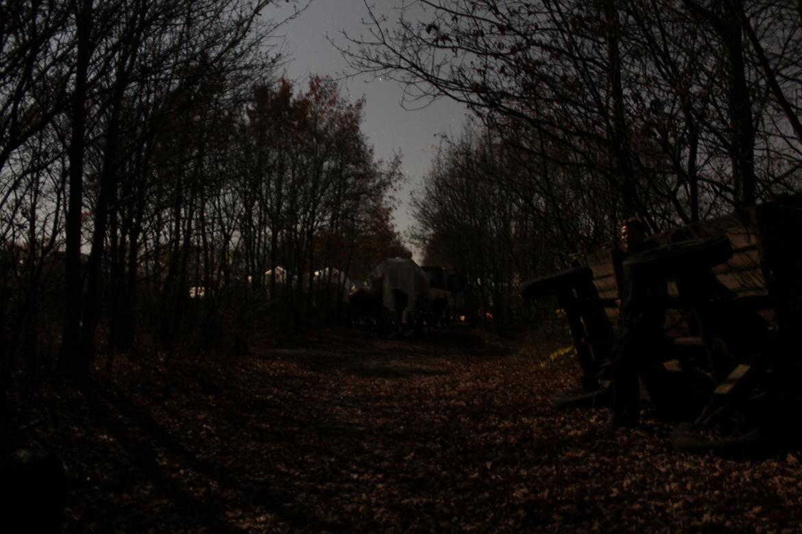 Random billeder. billede 58