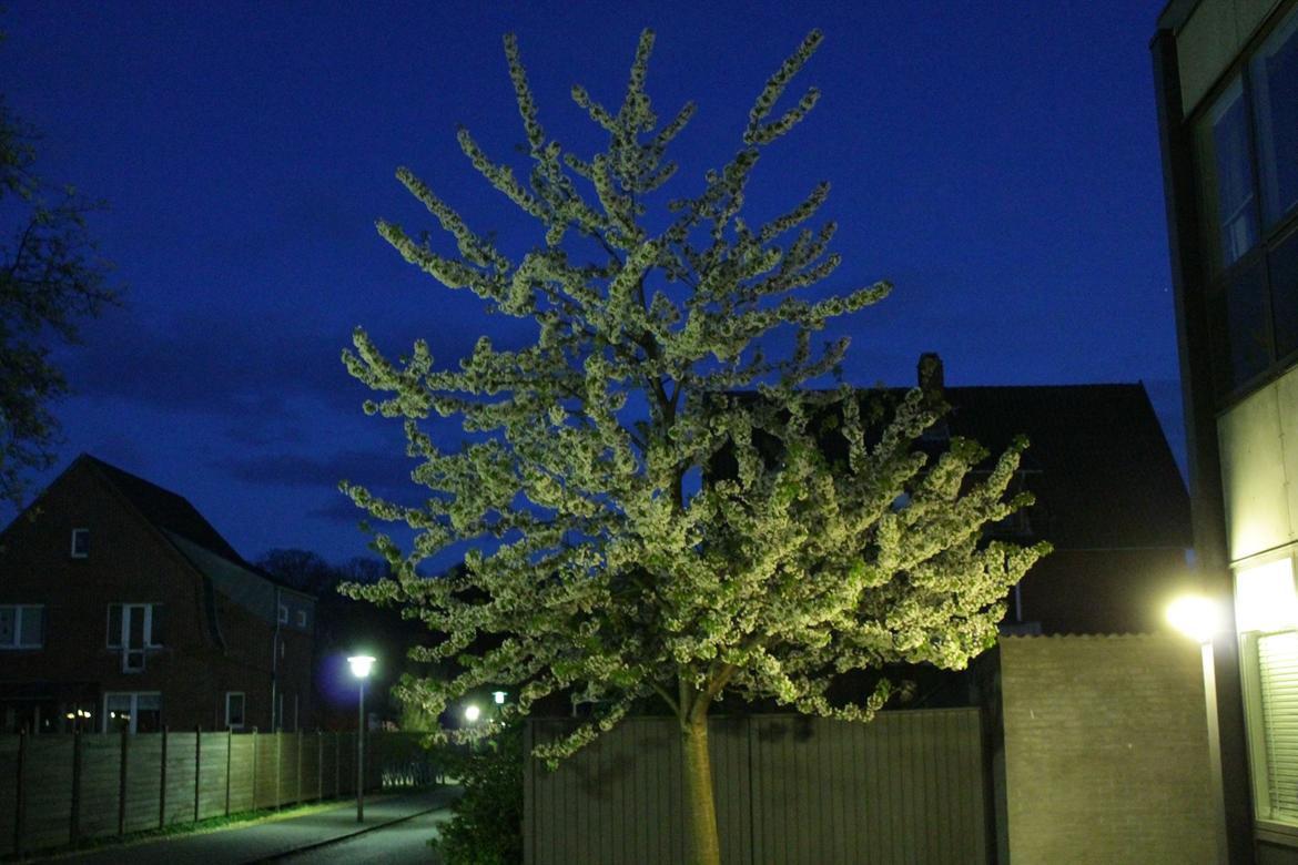 Random billeder. billede 65