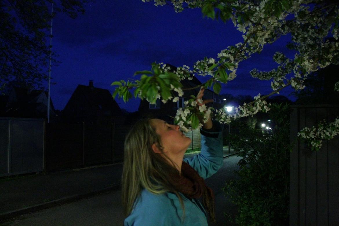 Random billeder. billede 66