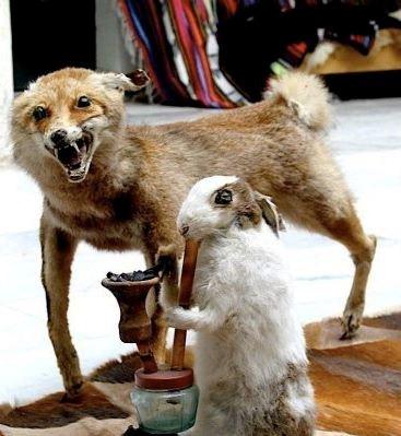 Dårligt udstoppede dyr 2 billede 17