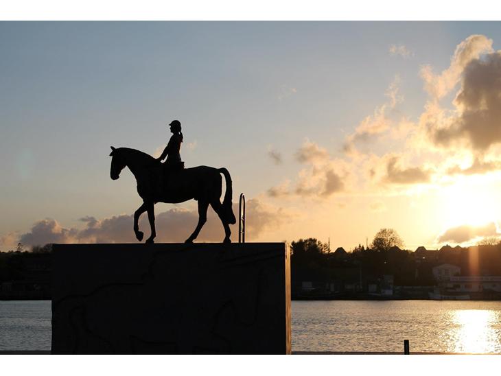 {{currentPhoto.altText}} billede {{currentPhoto.number}}