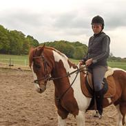 Min hest, og mine gamle heste!!