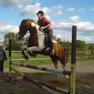 Min hest, og mine gamle heste!!