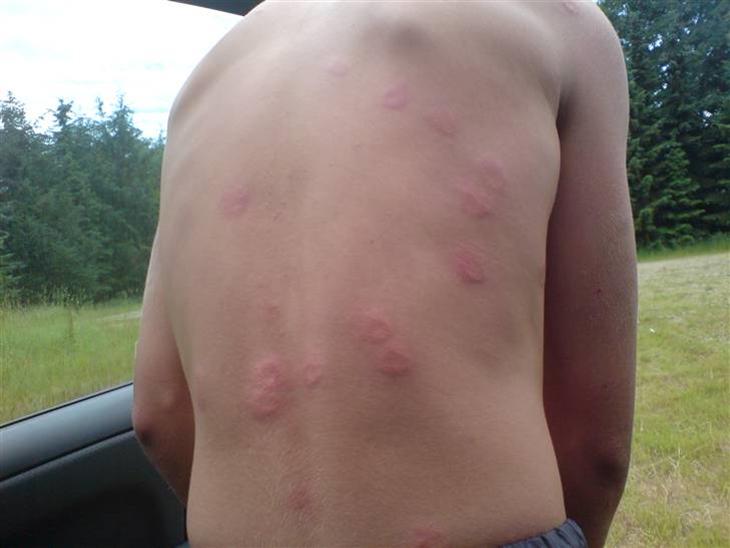 {{currentPhoto.altText}} billede {{currentPhoto.number}}