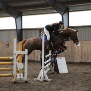 Hoppedyrne <3
