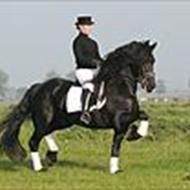  basitan nr 1 i rideskole cup < 3