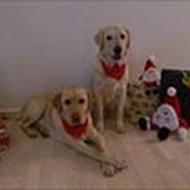 Christina og Jonas T