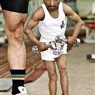 Denbredskulderetdværg .