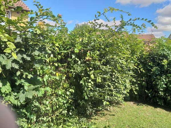 Inden jeg går til ro.