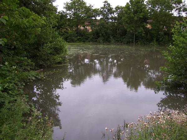 jeg vil havde stemt NEJ i dag.