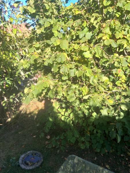 Mit univers i varmen.