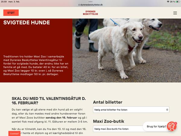 profilbillede