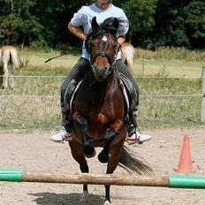 Kvinde Mig og mine elskede dyr (