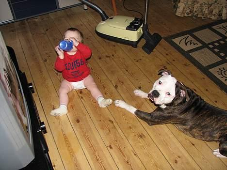 Kvinde Tanja C billede 4