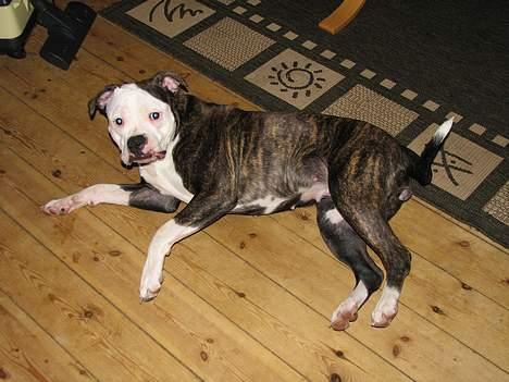 Kvinde Tanja C billede 5