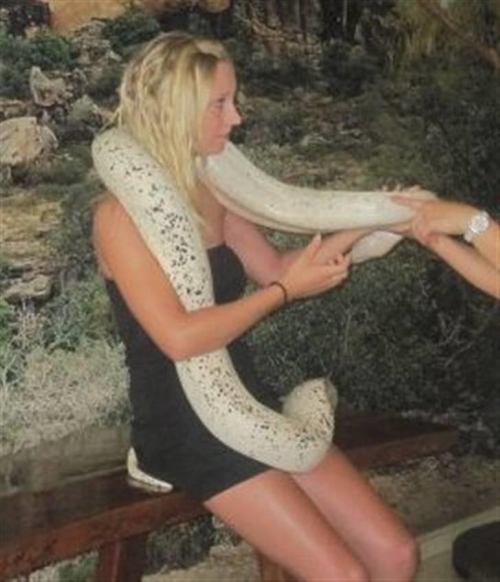 Kvinde . simone - jenny & jeg.. En af de større slanger i Australia Zoo - Steve Irwins zoo billede 1
