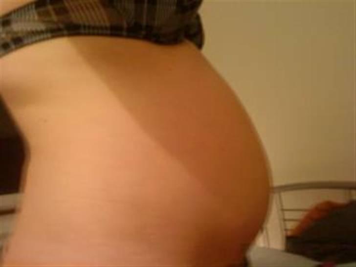 Kvinde MEEE  - maven den 3 dec 2008 24 uger henne billede 2