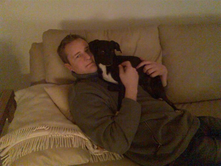 Mand Pandrup - Jep ligger og ser lidt tv med mine forældres hund... Hun ligger faktisk og kigger med! Animal planet er hendes yndlings kanal hehe! billede 3