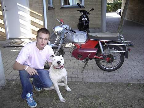 Mand André billede 8