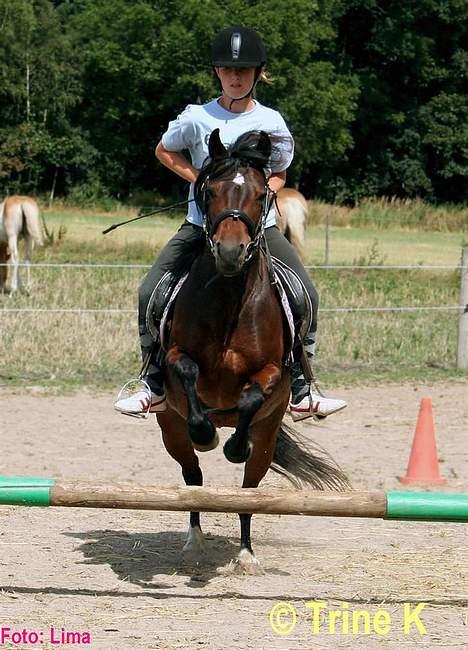 Kvinde Mig og mine elskede dyr ( - Mig på lille tykke rikke (L) billede 1
