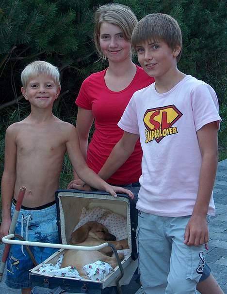 Kvinde Mig og mine elskede dyr ( - Den gang Valde var så lille !! (L) billede 7