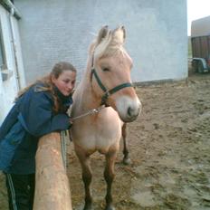Kvinde Trine