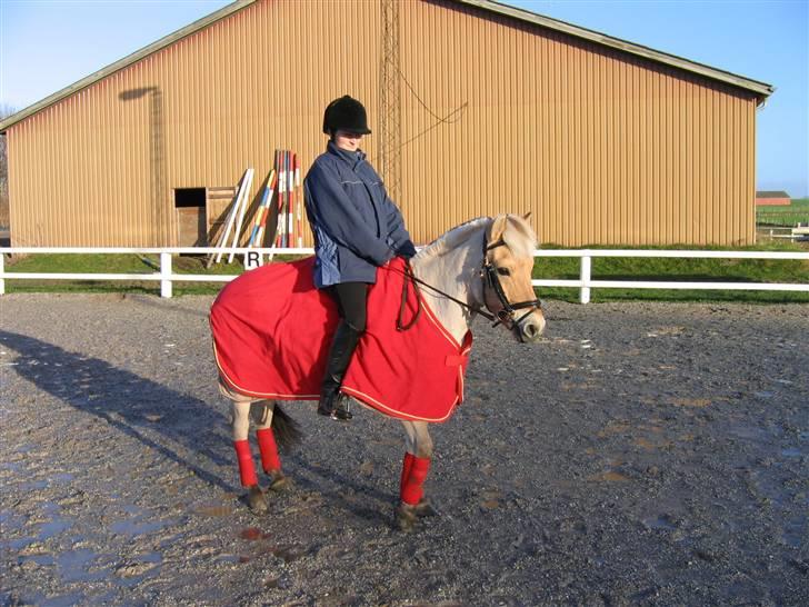 Kvinde Trine - Mig og min gamle pony Frej billede 1