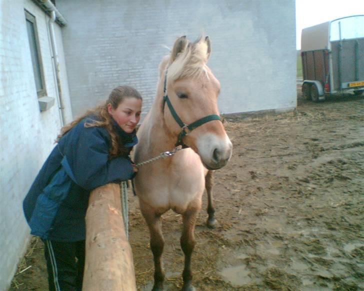 Kvinde Trine - Min gamle pony og jeg billede 3