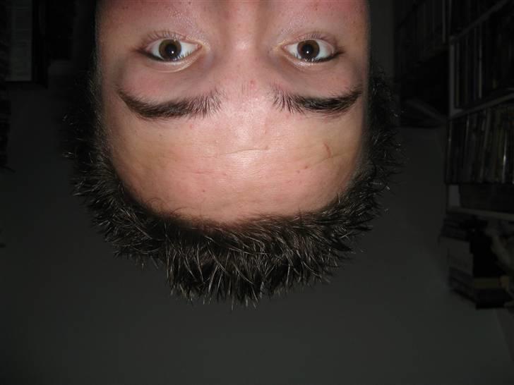 Mand Nikolaj - Sker der for langt hår :S "nyt" billede 6