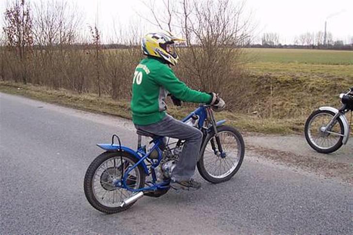 Mand nicklas billede 8