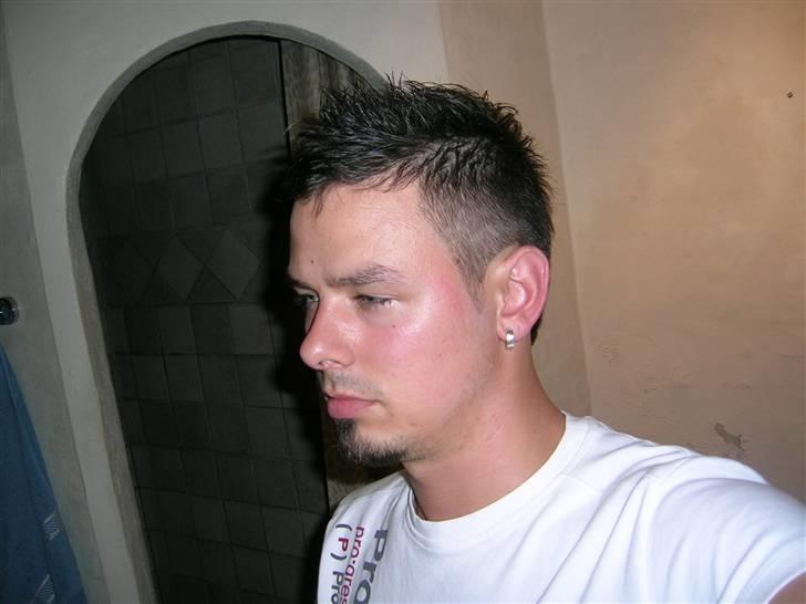 Mand LØVEN billede 17