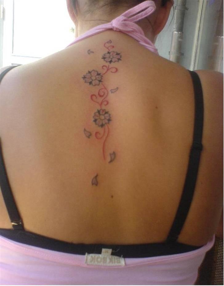 Kvinde guldbager billede 3