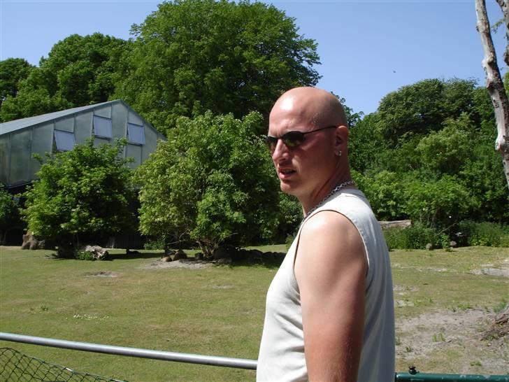 Mand hanzi - ca et år gammel billede 8