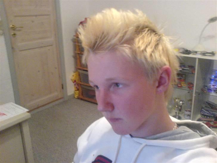 Mand nicklas - gammet billede 10