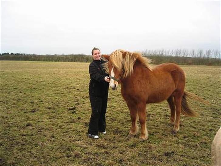 Kvinde Ane - Min hest Isafold billede 7