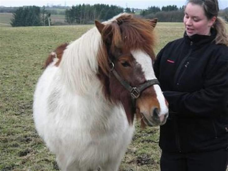 Kvinde Ane - Min hest Hetja billede 8