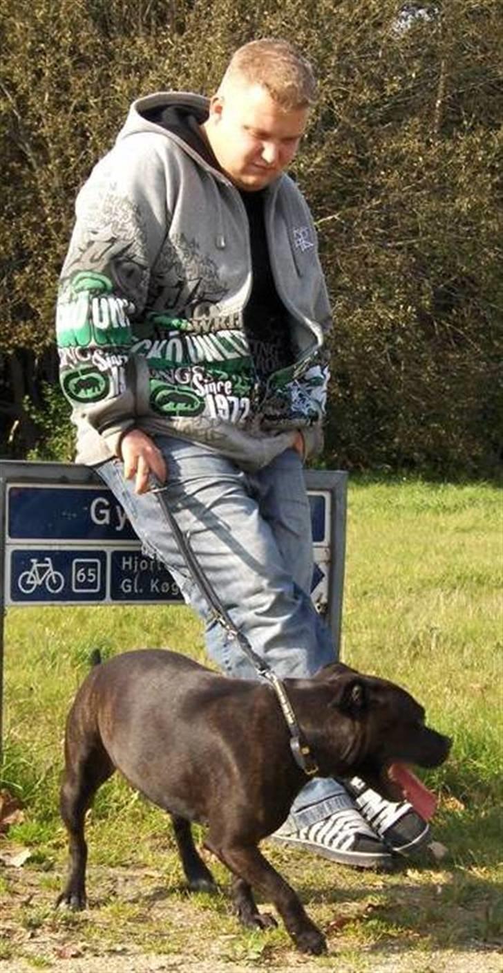 Mand NAMSE[lunden all star´s billede 1