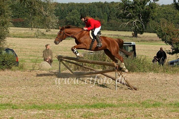 Kvinde Sanneh - _Fordi det er livet .. billede 9