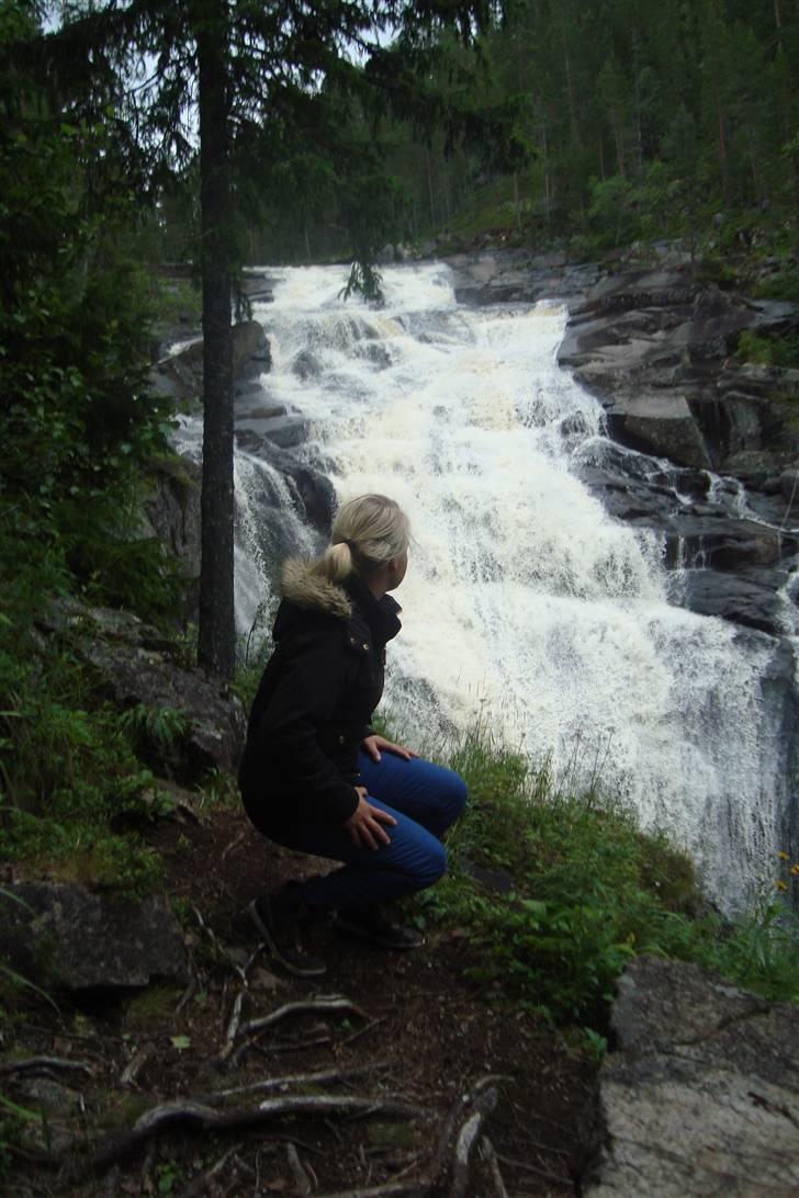 Kvinde Ditte - juni 2008 billede 2